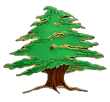 Cedars Design Group logo